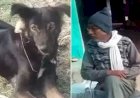 फिल्म एंटरटेनमेंट के तर्ज पर बेटों के दुर्व्यवहार से नाराज क‍िसान ने अपने कुत्‍ते के नाम कर दी आधी जायदाद