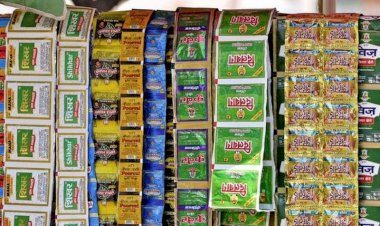 सरकार का अगला टारगेट गुटखा माफिया ! सख्त दिखे गृह मंत्री डॉ. मिश्रा