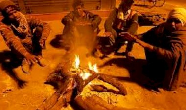 MP Weather: मप्र में ठंड का कहर, इन जिलों में कोल्ड वेव का अलर्ट, जानें अपने शहर का हाल