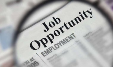 पटवारियों के 5204 नए पदों पर होगी भर्ती, मानदेय में भी वृद्धि