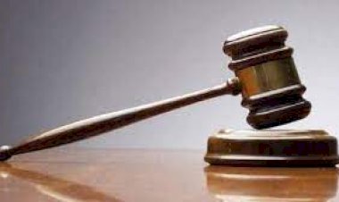 घोटाला : पूर्व कलेक्टर सहित 7 अधिकारियों को  4 साल की सजा - पढ़े पूरा मामला