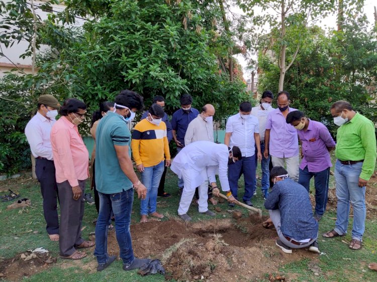 जैव विविधता पार्क के रूप में विकसित होगा भारत माता परिसर,पर्यावरण दिवस के अवसर पर किया गया पौधरोपण