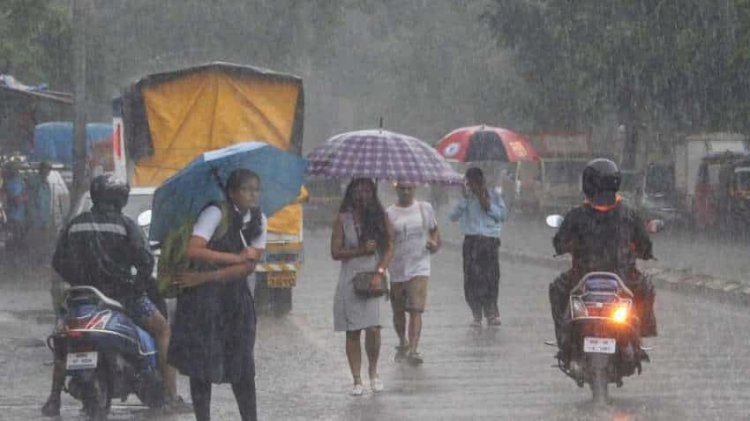 मानसून सक्रिय, 27 जिलों में भारी बारिश का अलर्ट, 6 संभागों में बिजली गिरने की चेतावनी, जानें शहरों का हाल